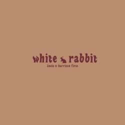 white rabbit