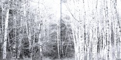 The White EP