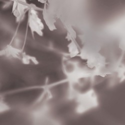 вслушивания