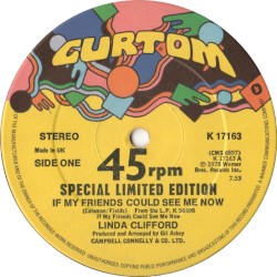 If My Friends Could See Me Now