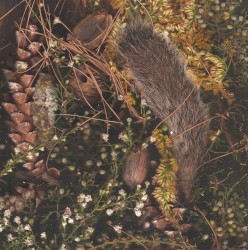 Ballade for a Hunter's Moon