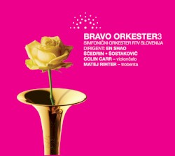 Bravo Orkester 3