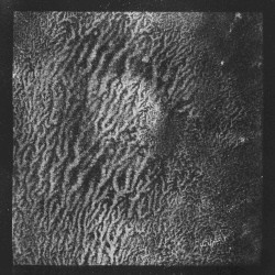 I really don’t want to die