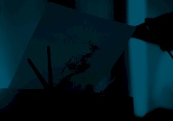 Concert Novo Local, Bordeaux | 2022