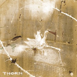 Thorn