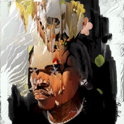 fukumean (saka flip)