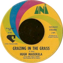 Grazing in the Grass / Bajabula Bonke (The Healing Song)
