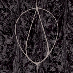 Hazel Steps Revisited