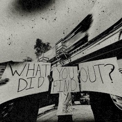 What Did You Find Out?