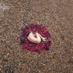 Metamorphosis
