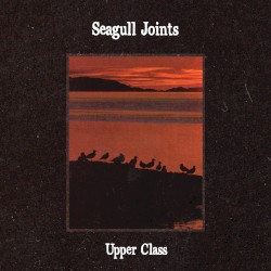 seagull joints