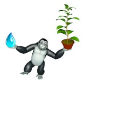 MWW & Monkey 20 present Mind Phreak
