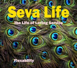 Seva Life