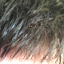 Venturing Into a Netherworldly Estuary