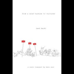 From a Wind Turbine to Vultures (And Back)