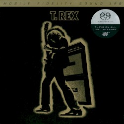 Electric Warrior
