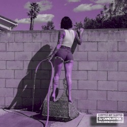 It Was Good Until It Wasn't (Chopped Not Slopped)