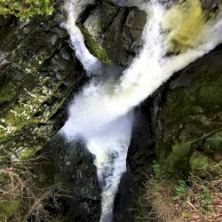 We All Feel Happier Now (original version)