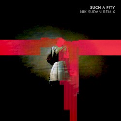 Such a Pity (Nik Sudan Remix)
