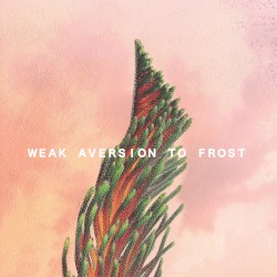 Weak Aversion to Frost