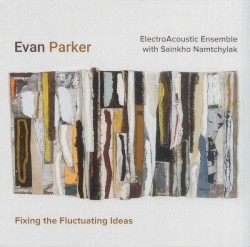 Fixing the Fluctuating Ideas