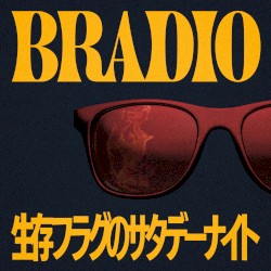 Saturday Night Survival Flag