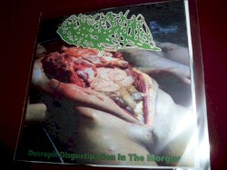 Decrepit Disgustipation In The Morgue