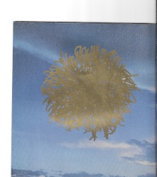 low clouds hang, this land is on fire