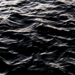 Dark Waters