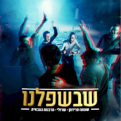 שבשפלנו