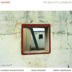 The Beautiful Enabler