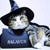▲witch cat▲