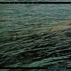 Many Jewels Surround the Crown