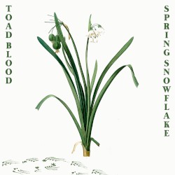 Spring Snowflake