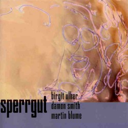 Sperrgut