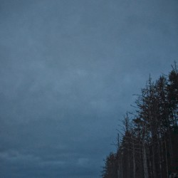 This Place, Now · I Need the Night