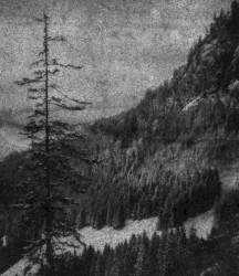 Demo I & Weltschmerz