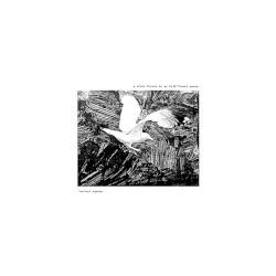 An Indifferent Ocean