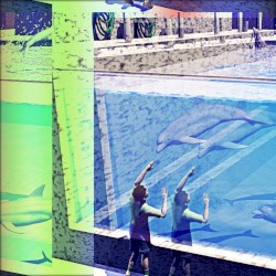 aquærium