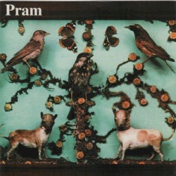 The Museum of Imaginary Animals