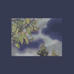 moonlight
