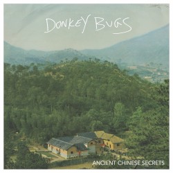 Ancient Chinese Secrets