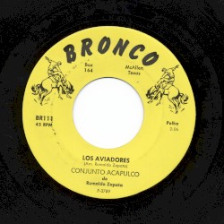 Los aviadores / El zopilote mojado