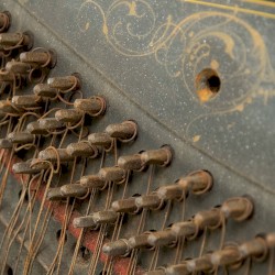 You, You’re a History in Rust