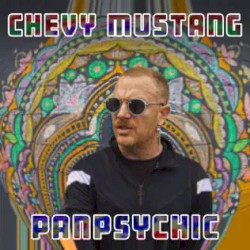 Panpsychic