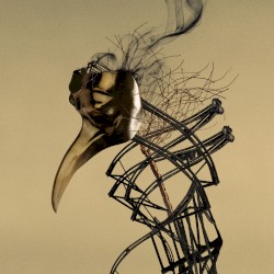 Wake Up (Paul Woolford remix)