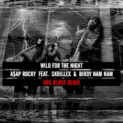 Wild for the Night (Dog Blood remix)