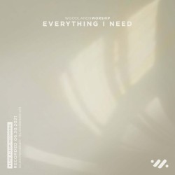 Everything I Need (live)