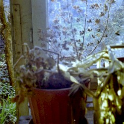 Soundtrack to a Better Place