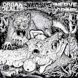 Organ Dealer / Nerve Grind / Invertebrate